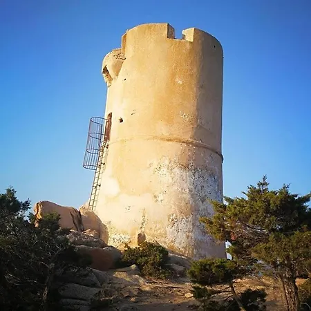 Maison En Corse * Monacia-d'Aullene