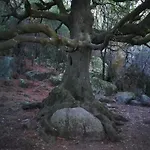 Maison En Corse Monacia-d'Aullene