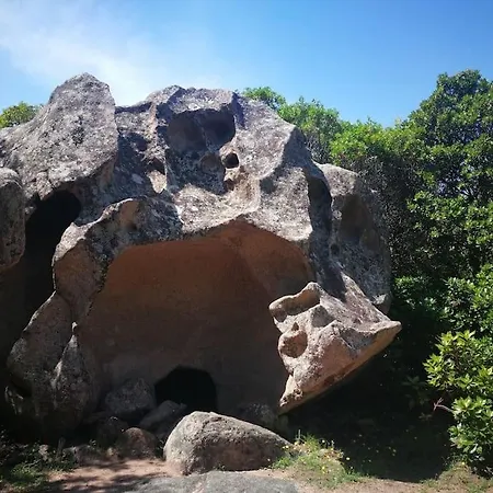 Maison En Corse Dom wakacyjny