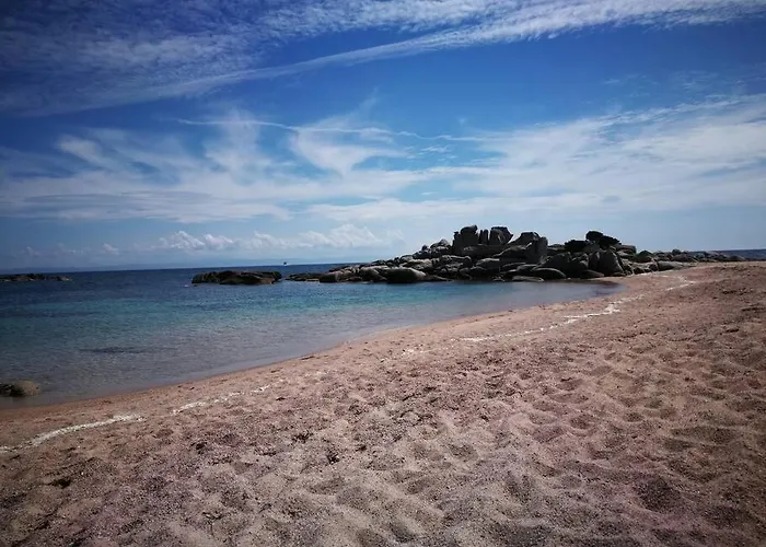 Maison En Corse 莫纳奇亚道勒内